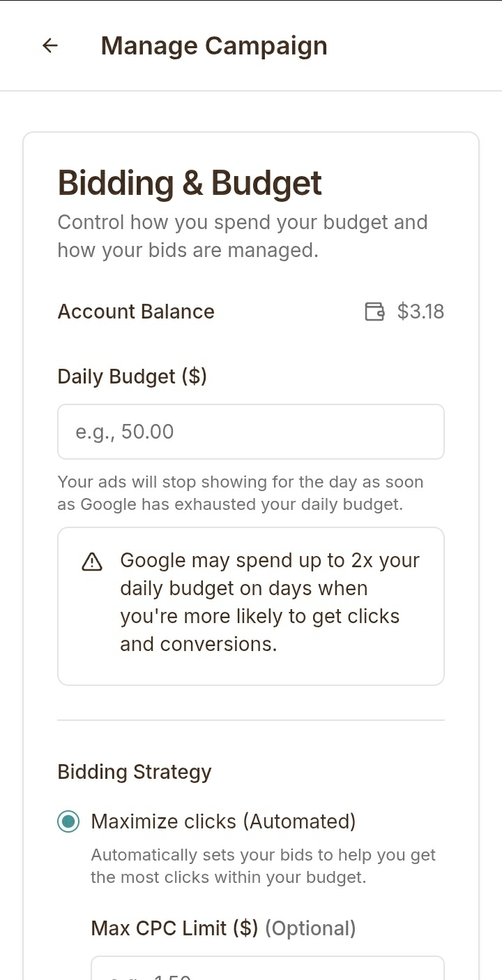 Screenshot for: 5. Set Your Daily Ad Budget